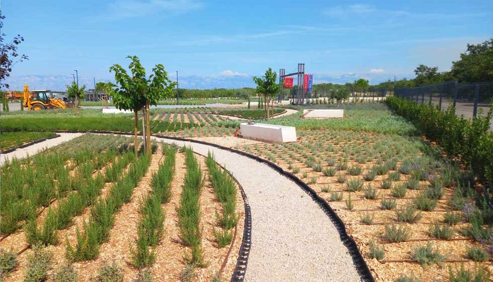 Botanika Hortikultura - Foto section 1