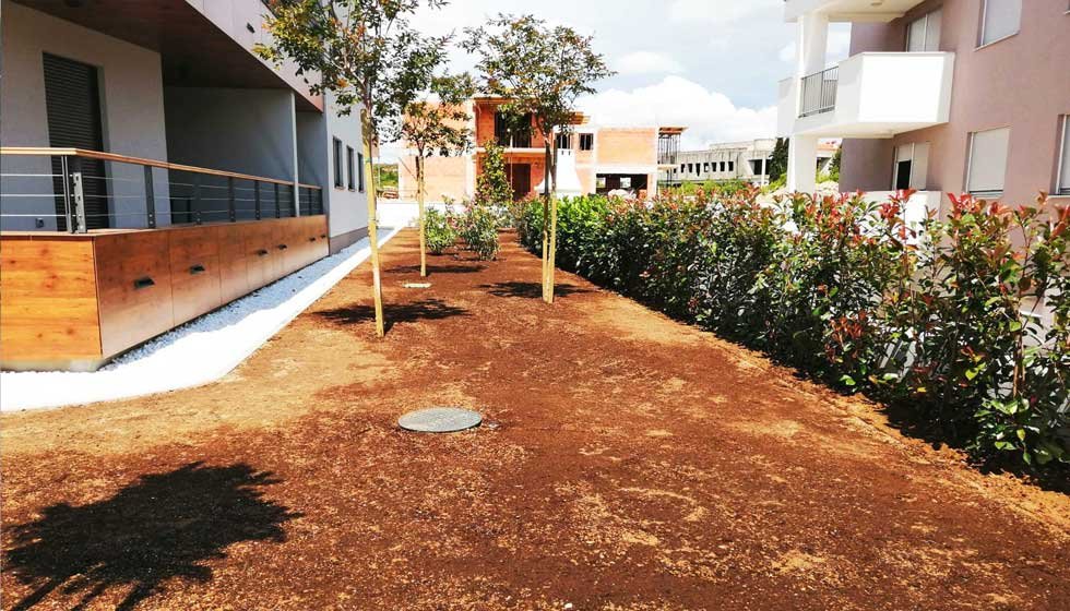 Botanika Hortikultura - Foto section 2