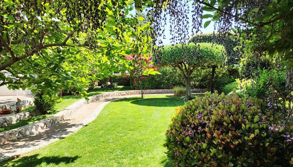 Botanika Hortikultura - Foto section 3