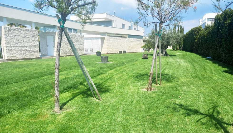 Botanika Hortikultura - Foto section 4