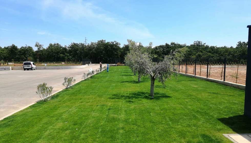 Botanika Hortikultura - Foto section 6