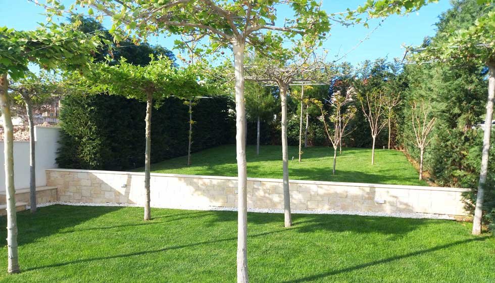 Botanika Hortikultura - Foto section 7