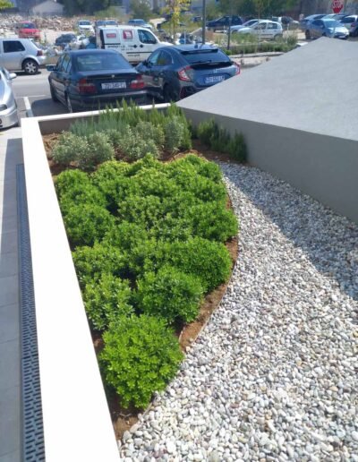 Botanika Hortikultura - Projekti Foto 001