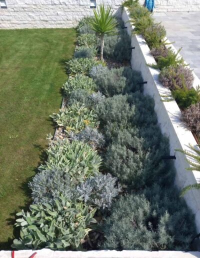 Botanika Hortikultura - Projekti Foto 002