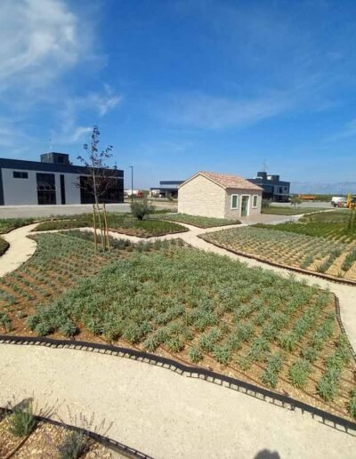 Botanika Hortikultura - Projekti Foto 003