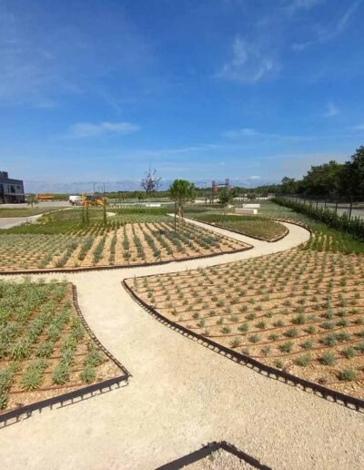 Botanika Hortikultura - Projekti Foto 004