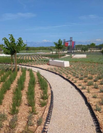 Botanika Hortikultura - Projekti Foto 005