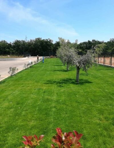 Botanika Hortikultura - Projekti Foto 010