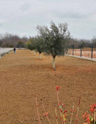 Botanika Hortikultura - Projekti Foto 012