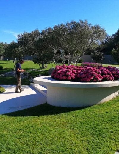 Botanika Hortikultura - Projekti Foto 014