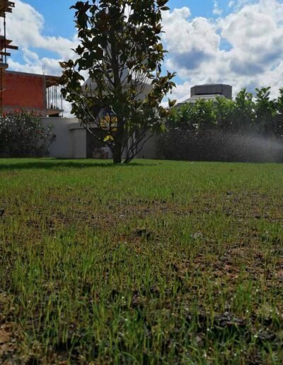 Botanika Hortikultura - Projekti Foto 015