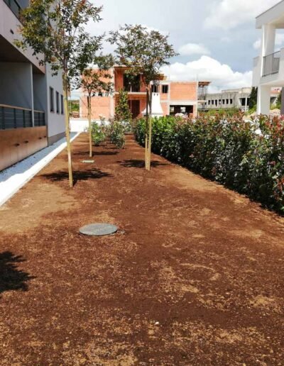 Botanika Hortikultura - Projekti Foto 017