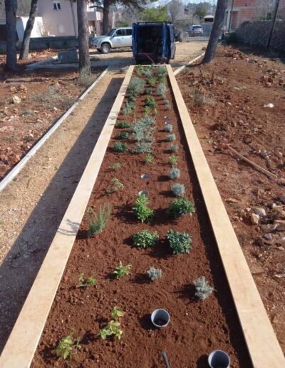 Botanika Hortikultura - Projekti Foto 020