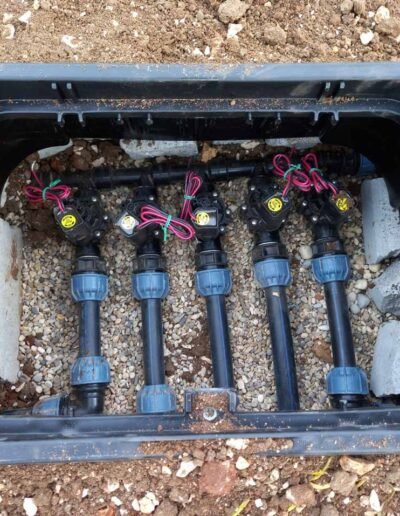 Botanika Hortikultura - Projekti Foto 021