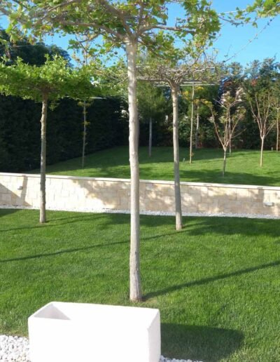 Botanika Hortikultura - Projekti Foto 023