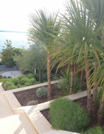 Botanika Hortikultura - Projekti Foto 024