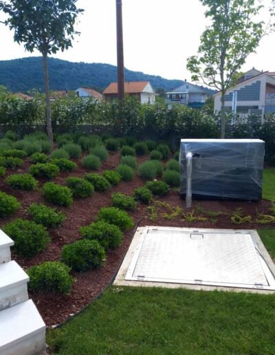 Botanika Hortikultura - Projekti Foto 025