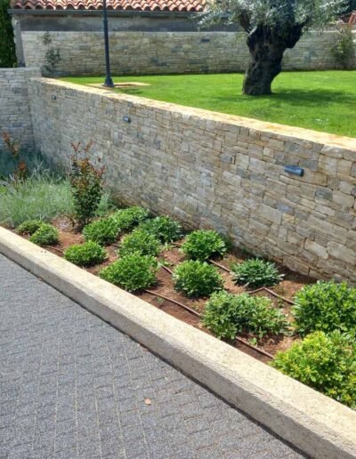 Botanika Hortikultura - Projekti Foto 034