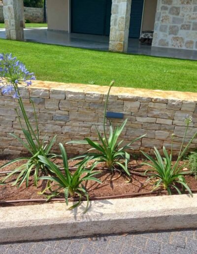 Botanika Hortikultura - Projekti Foto 035