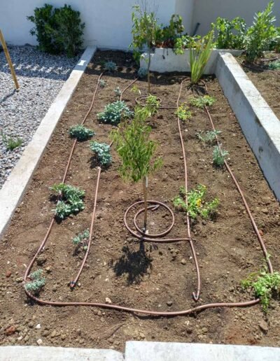 Botanika Hortikultura - Projekti Foto 037