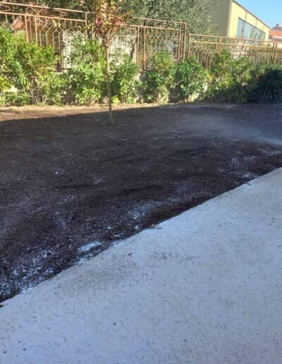 Botanika Hortikultura - Projekti Foto 038