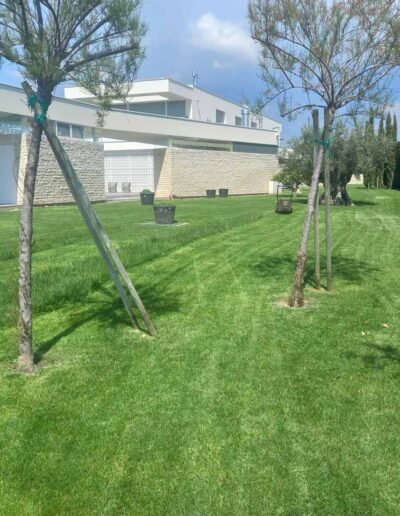 Botanika Hortikultura - Projekti Foto 041