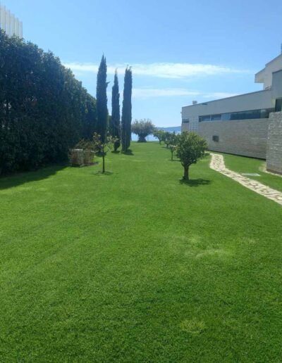 Botanika Hortikultura - Projekti Foto 042