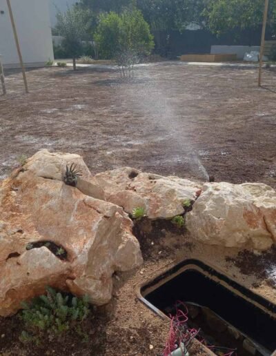 Botanika Hortikultura - Projekti Foto 047