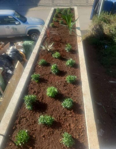 Botanika Hortikultura - Projekti Foto 052