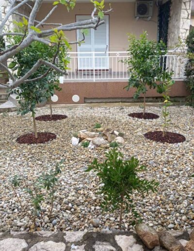 Botanika Hortikultura - Projekti Foto 054