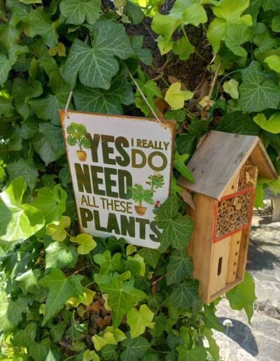 Botanika Hortikultura - Projekti Foto 055