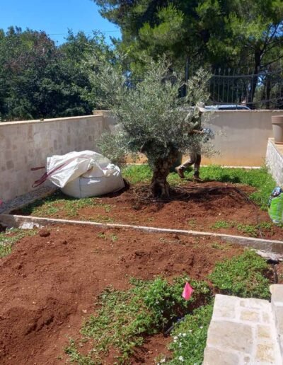 Botanika Hortikultura - Projekti Foto 056