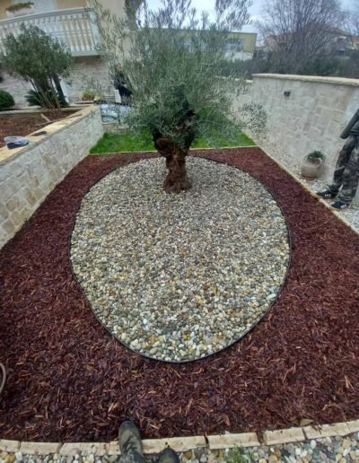 Botanika Hortikultura - Projekti Foto 059