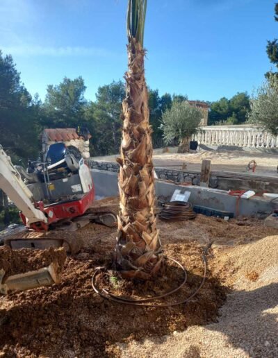 Botanika Hortikultura - Projekti Foto 060