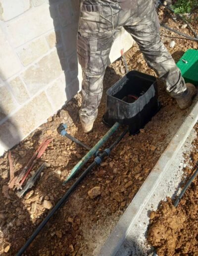 Botanika Hortikultura - Projekti Foto 062