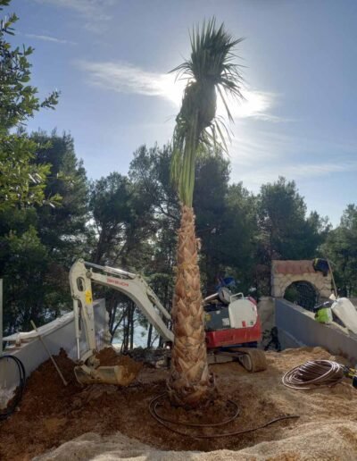 Botanika Hortikultura - Projekti Foto 063