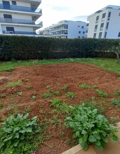 Botanika Hortikultura - Projekti Foto 064