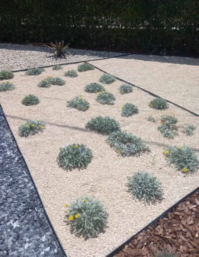 Botanika Hortikultura - Projekti Foto 073