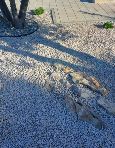 Botanika Hortikultura - Projekti Foto 074