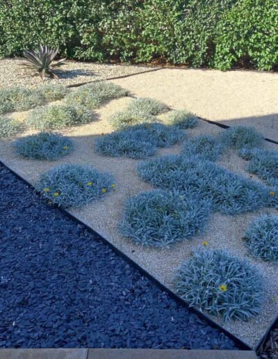 Botanika Hortikultura - Projekti Foto 075