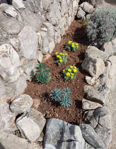 Botanika Hortikultura - Projekti Foto 077