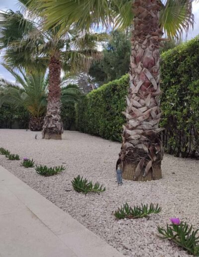 Botanika Hortikultura - Projekti Foto 078