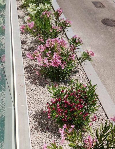 Botanika Hortikultura - Projekti Foto 080