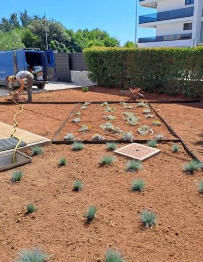 Botanika Hortikultura - Projekti Foto 081