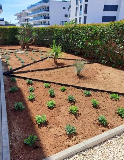 Botanika Hortikultura - Projekti Foto 082