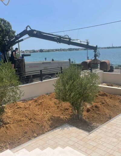 Botanika Hortikultura - Projekti Foto 083