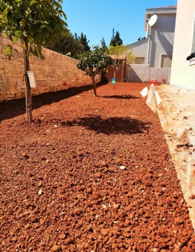 Botanika Hortikultura - Projekti Foto 084