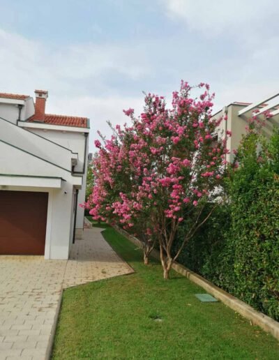 Botanika Hortikultura - Projekti Foto 086