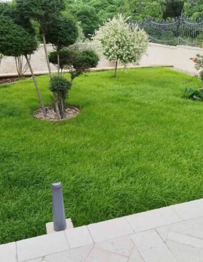 Botanika Hortikultura - Projekti Foto 089